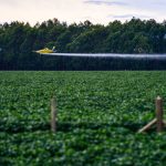 Les pesticides boomerang : des substances interdites en Europe contaminent vos repas