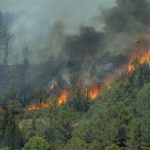 Le Feu qui Ne Sait Pas Se Coucher : 60 000 Personnes Évacuées et 50 000 Hectares en Flammes